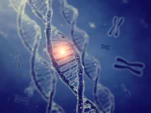 DNA遺伝子のイメージ画像